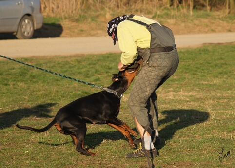 Training in Prague 3/2007